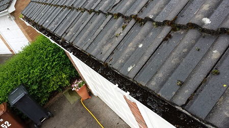gutter cleaning mxd window cleaning